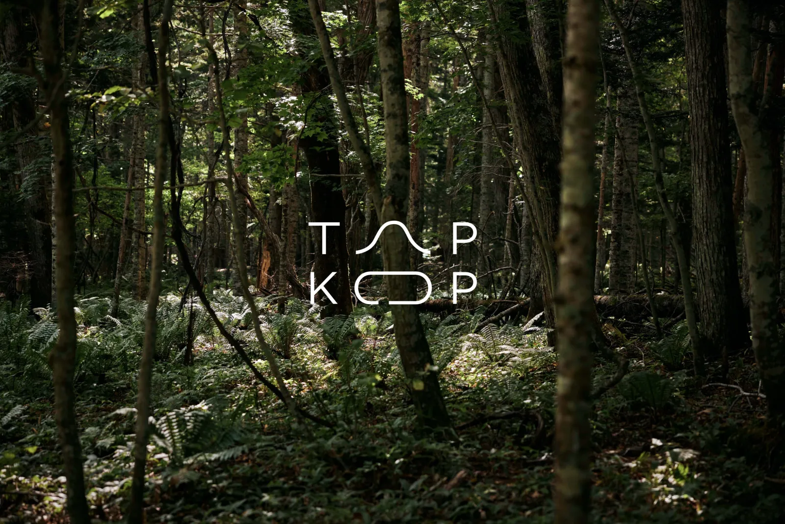 TAPKOP 外観
